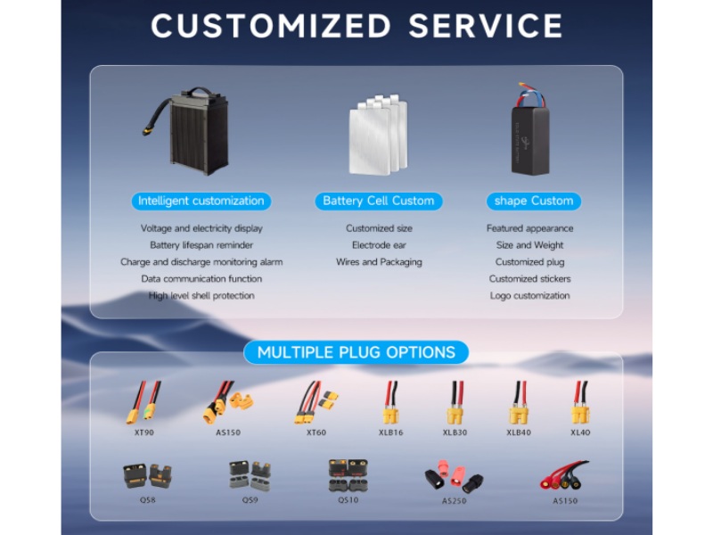 Xingto Battery Customization Details